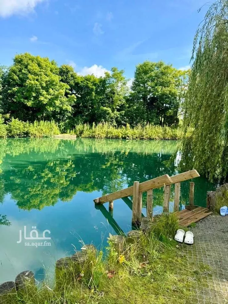 مزرعة للبيع في شارع الطيب الساسي, حي الرويحة, مدينة القطيف, المنطقة الشرقية