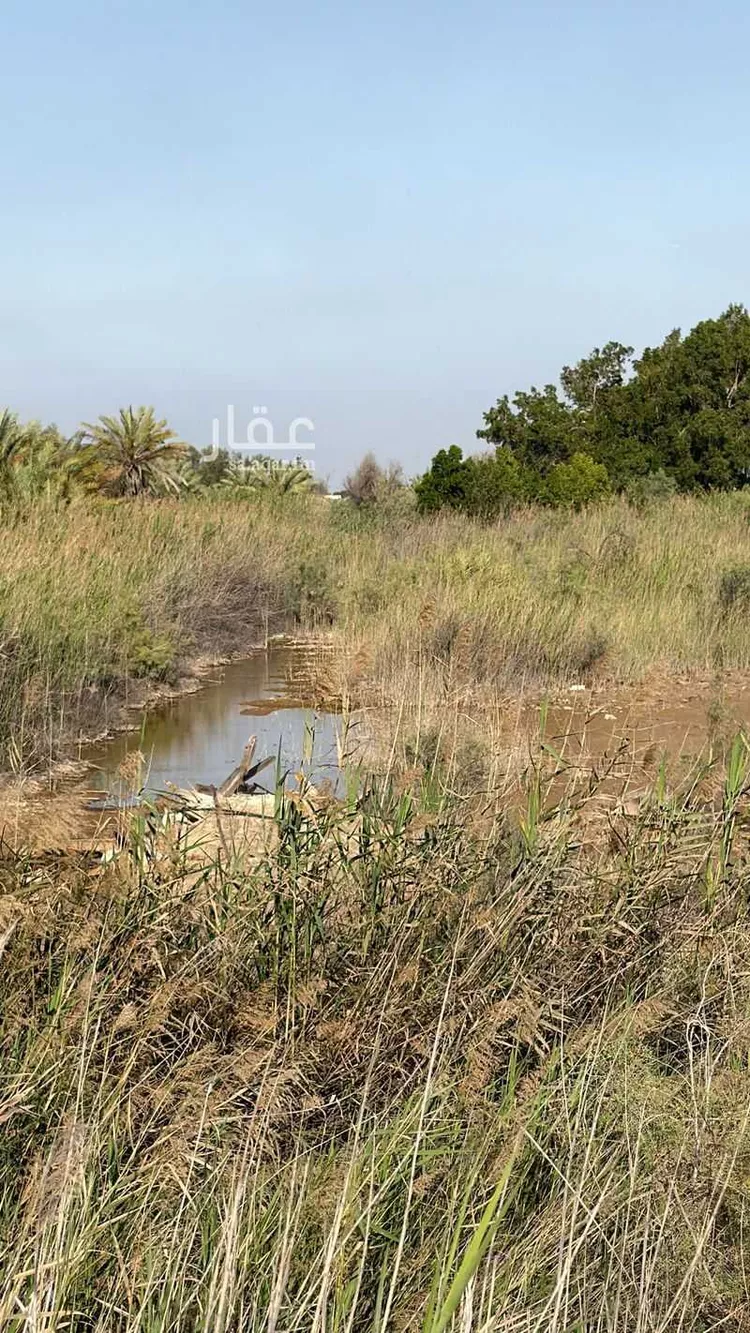 مزرعة للبيع في شارع الطيب الساسي, حي الرويحة, مدينة القطيف, المنطقة الشرقية صورة 2