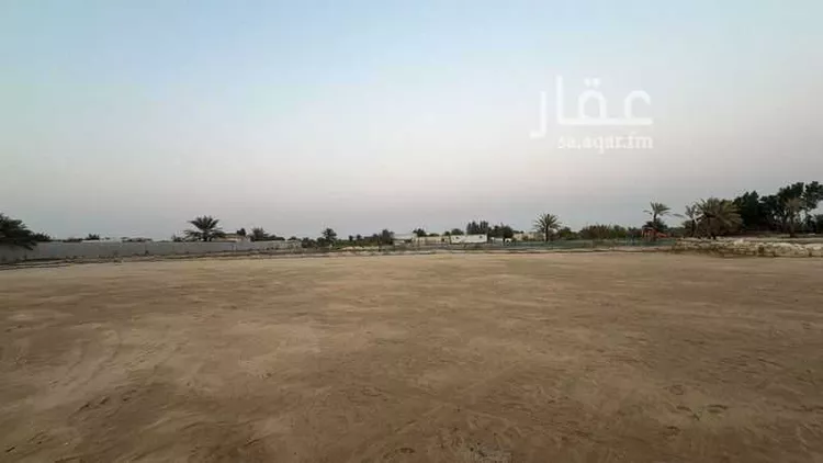 أرض للإيجار في شارع الرويحه 613 ، حي الرويحة ، صفوى ، القطيف