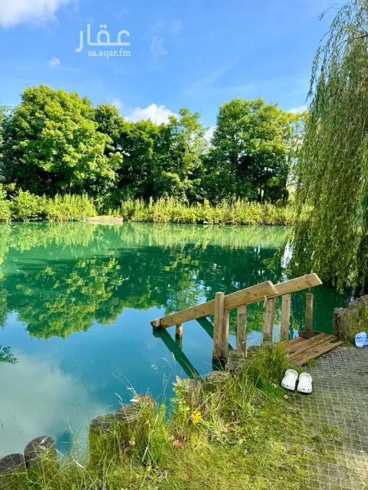 مزرعة للبيع في شارع الرويحه 958 ، حي الرويحة ، صفوى ، القطيف