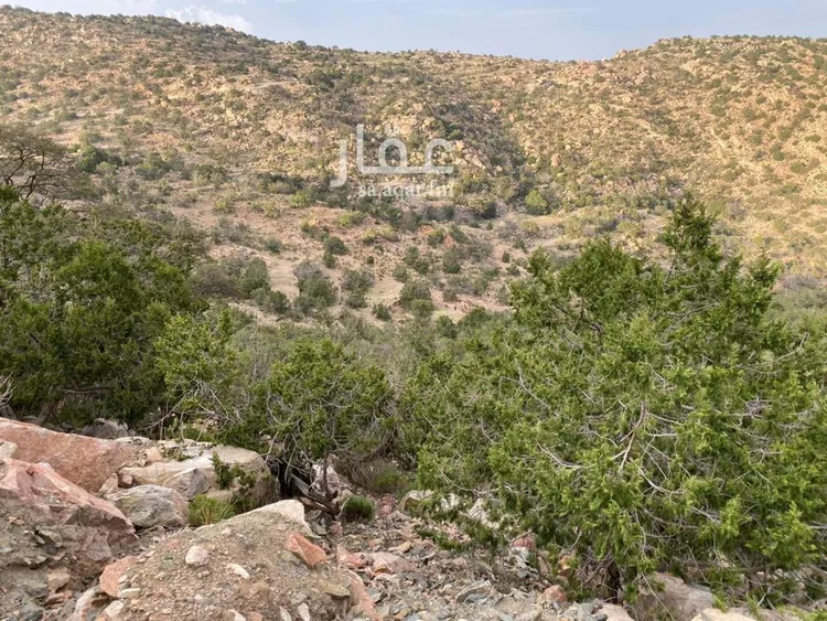 أرض للبيع في حي الشفاء, مدينة امارة منطقة مكة المكرمة - الطائف, منطقة مكة المكرمة صورة 4