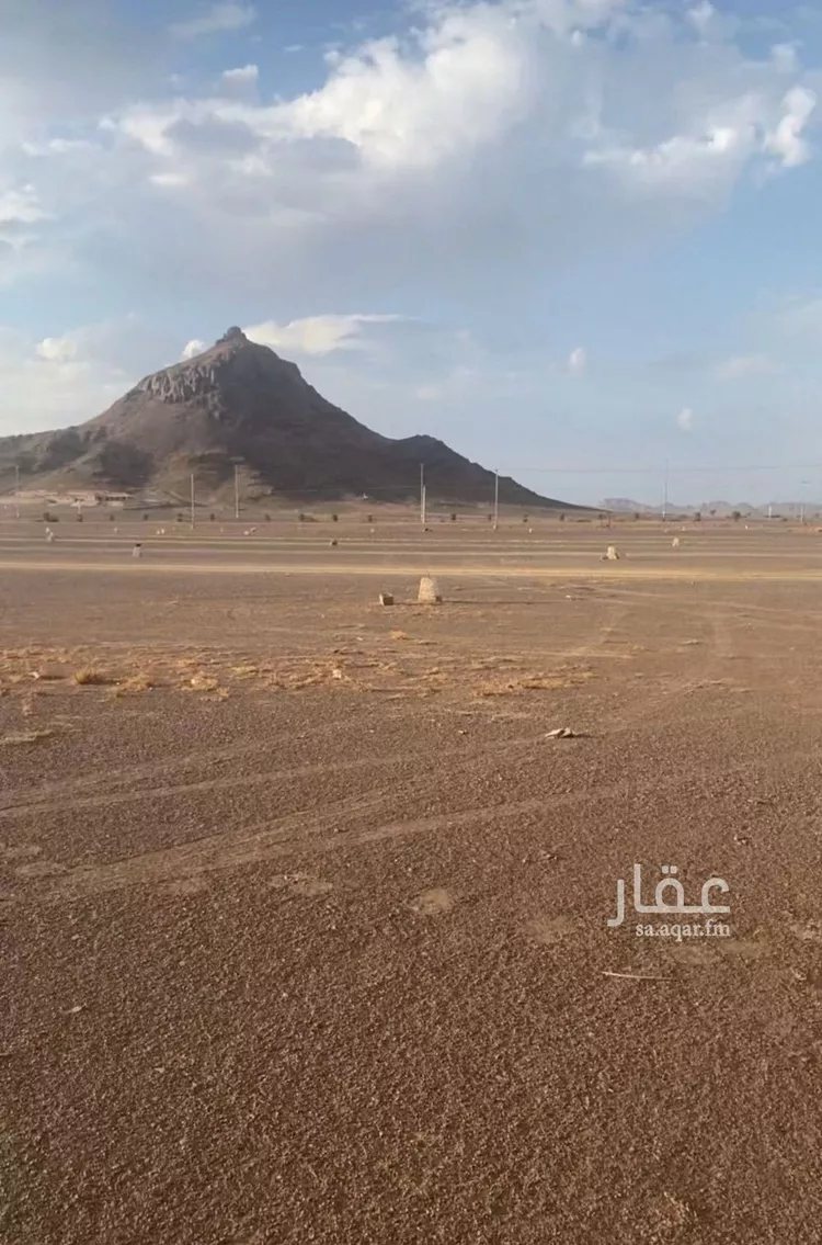 أرض للبيع في شارع داخلي , مدينة المدينة المنورة, منطقة المدينة المنورة