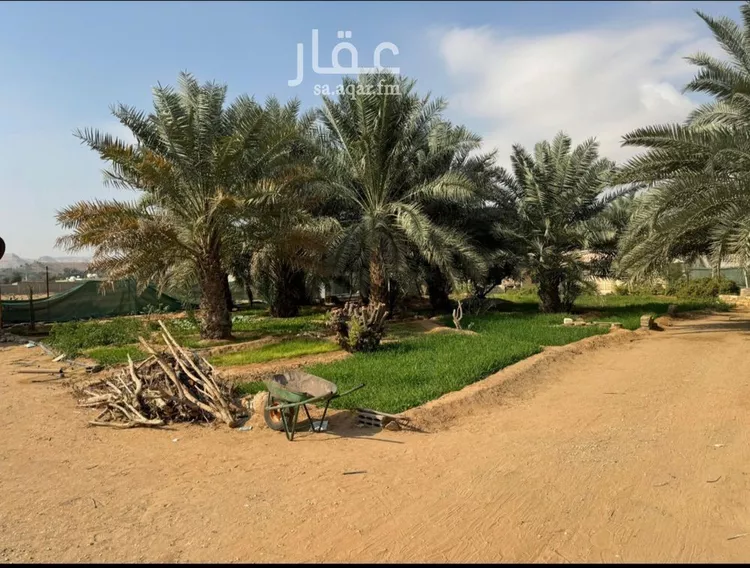 Farm for Sale in Riyadh Uraidh صورة 5