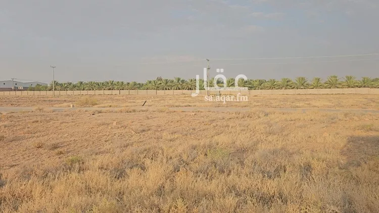 أرض للبيع في حي المجد, مدينة الخبراء والسحابين, منطقة القصيم صورة 3
