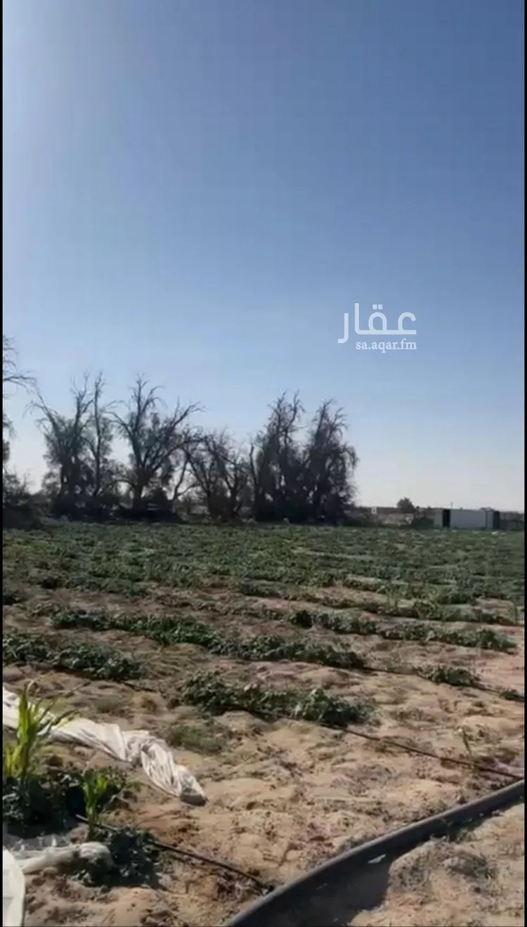 أرض للبيع في شارع خالد بن يزيد, حي السلام, مدينة قرية العليا, المنطقة الشرقية صورة 3