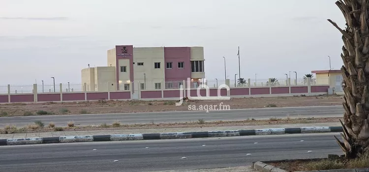 أرض للبيع في شارع داخلي , حي العبدليه, مدينة العبدليه, منطقة الرياض صورة 3