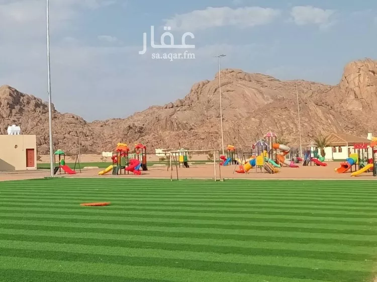 أرض للبيع في شارع داخلي , حي العدل, مدينة السليمي, منطقة حائل صورة 2