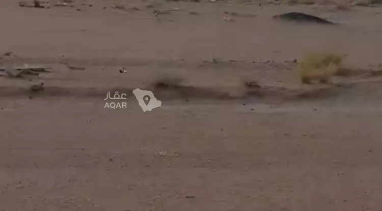 أرض للبيع في شارع داخل , حي السيح والحجازيه, مدينة السيح والحجازيه, منطقة القصيم 2