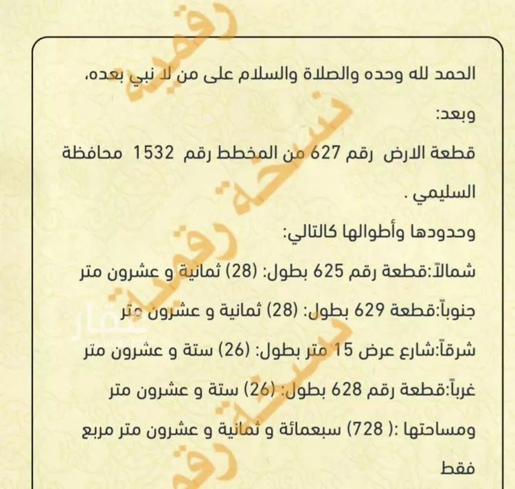 أرض للبيع في شارع داخلي , حي العدل, مدينة السليمي, منطقة حائل صورة 3