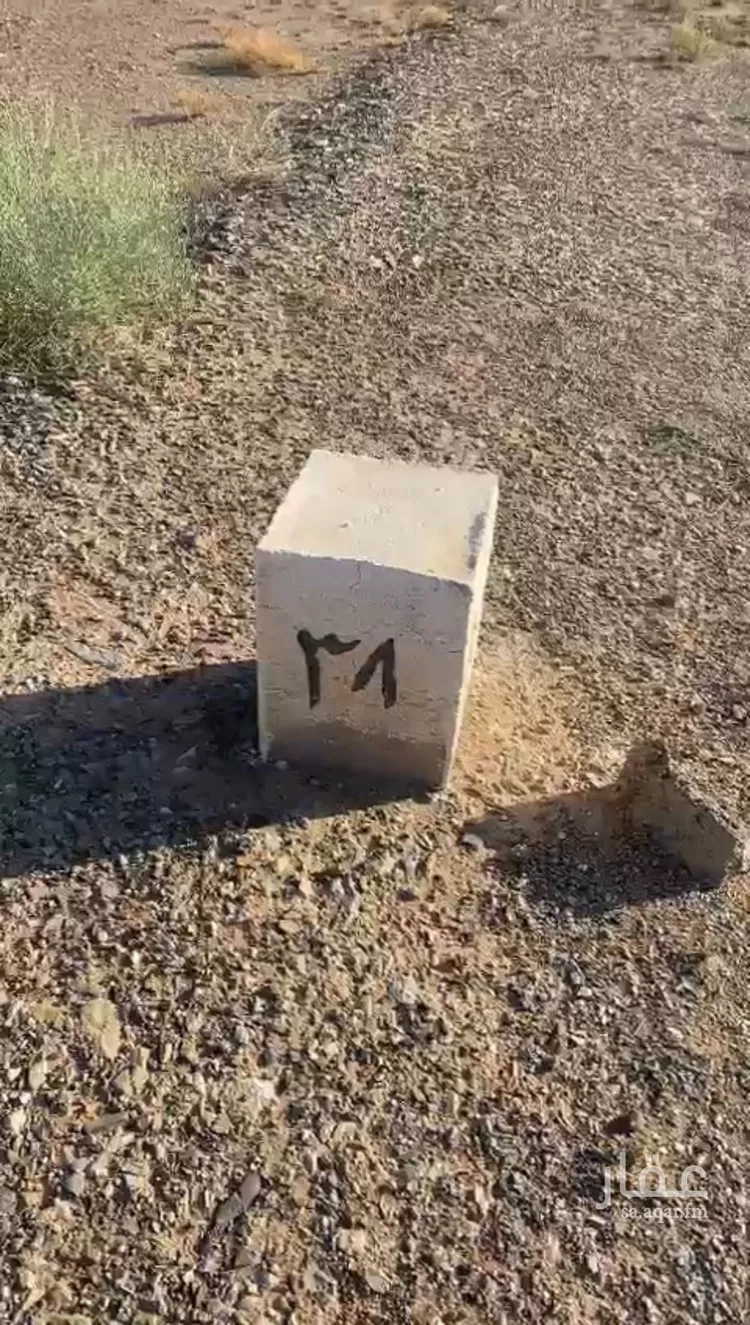 أرض للبيع في شارع داخلي , حي الريان, مدينة عقلة الصقور, منطقة القصيم صورة 3