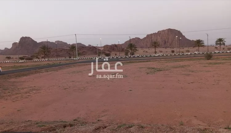 أرض للبيع في شارع داخلي , حي العدل, مدينة السليمي, منطقة حائل صورة 3