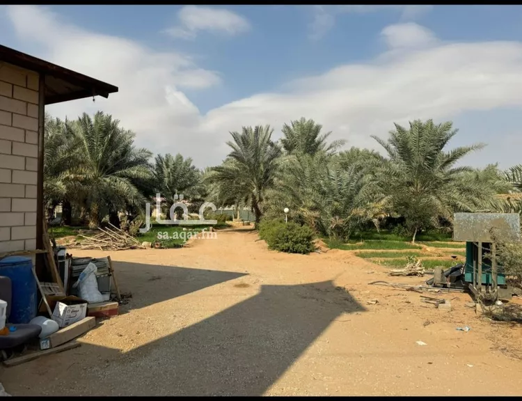 Farm for Sale in Riyadh Uraidh صورة 3