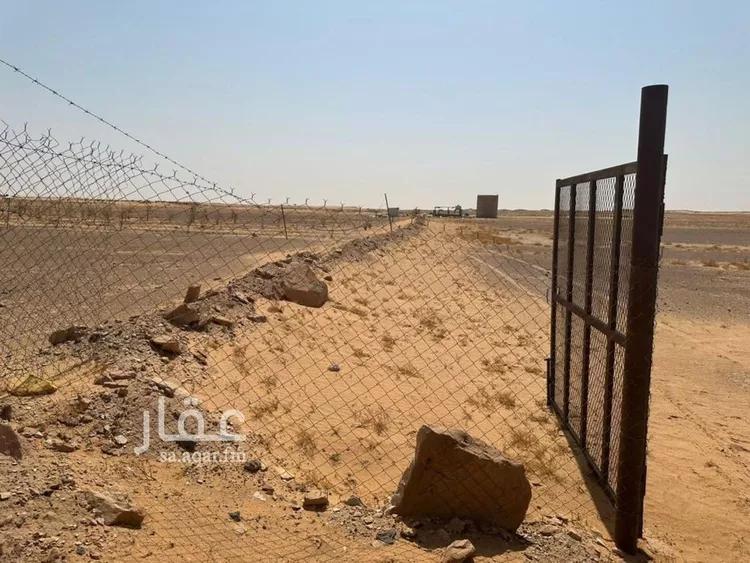 أرض للبيع في شارع داخلي , حي البينه, مدينة البينه, منطقة الرياض صورة 4