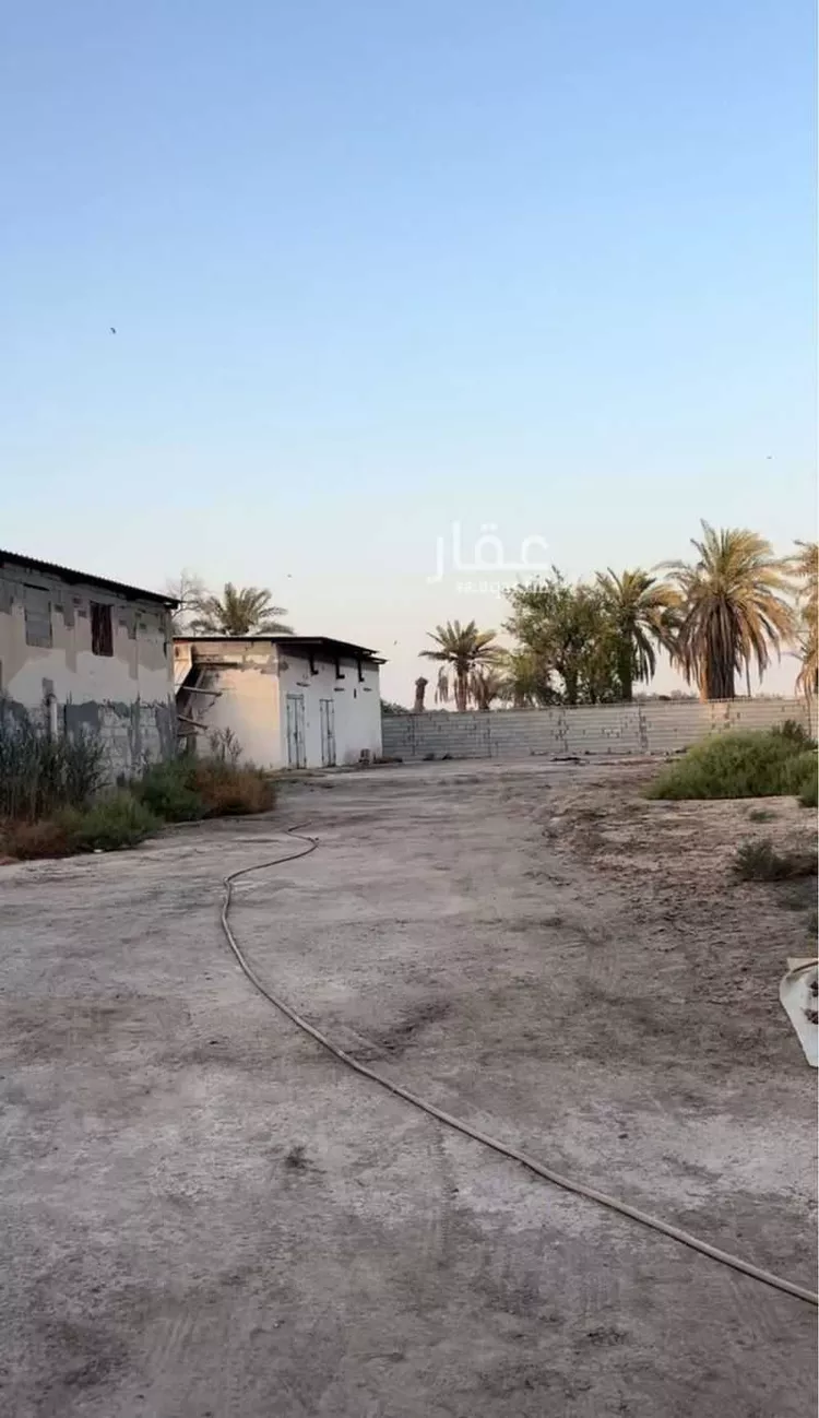 مزرعة للبيع في شارع الخليج العربي, حي منطقة الغويبة الزراعية, مدينة الاحساء, المنطقة الشرقية صورة 4