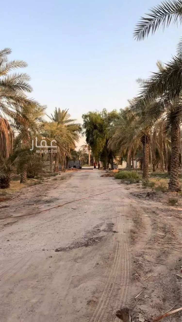 مزرعة للبيع في شارع الخليج العربي, حي منطقة الغويبة الزراعية, مدينة الاحساء, المنطقة الشرقية صورة 3