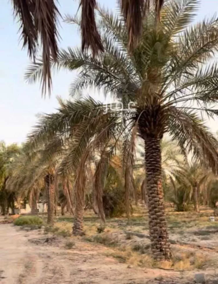 Farm for Sale in Al Hofuf King Fahd