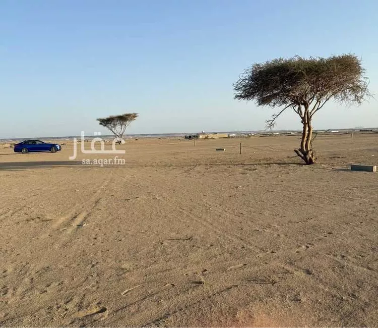 أرض للبيع في شارع الندى, حي الندى, مدينة جدة, منطقة مكة المكرمة صورة 3