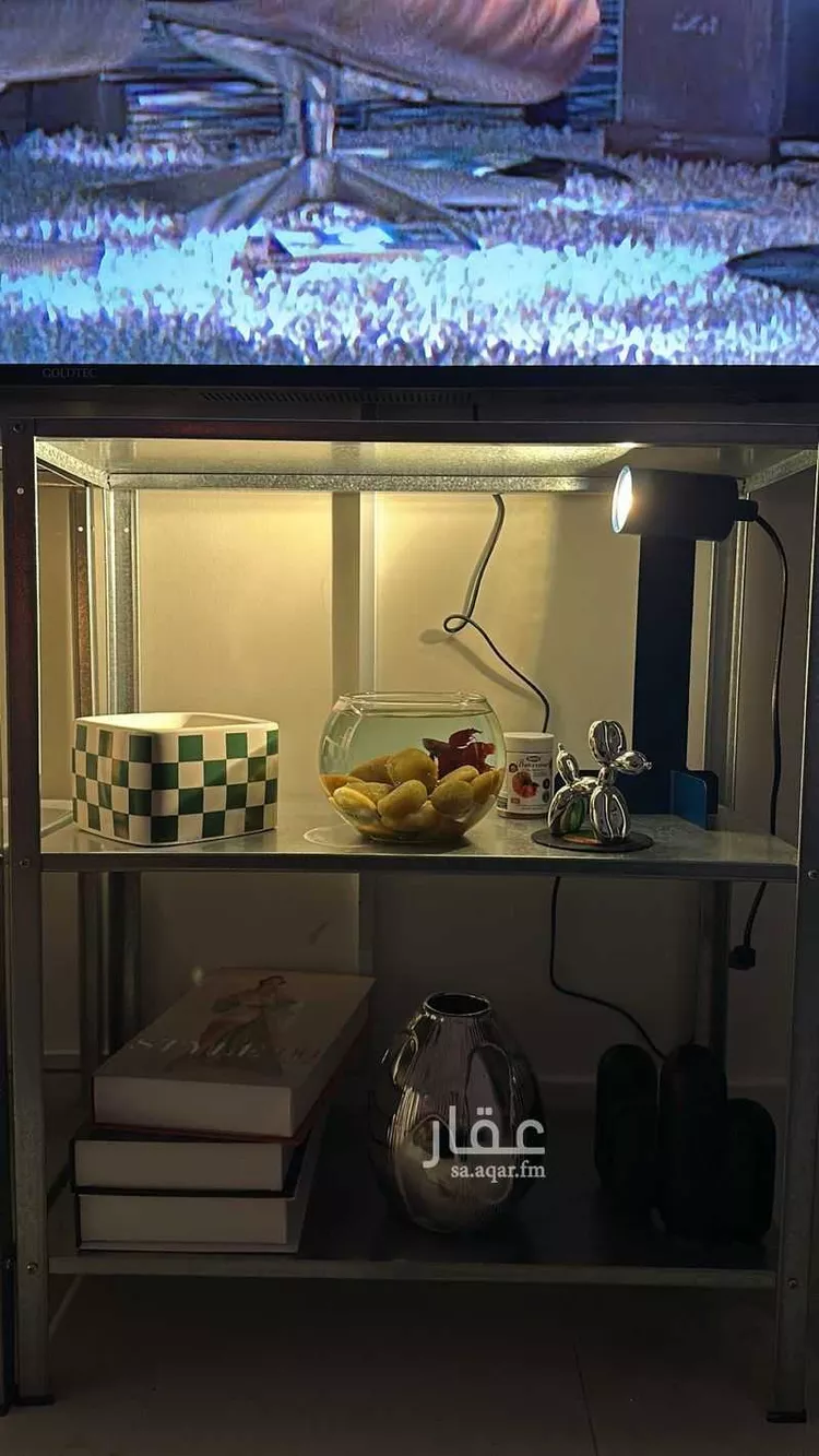 Furnished Studio for Booking in Al Khobar Al Hamra 8