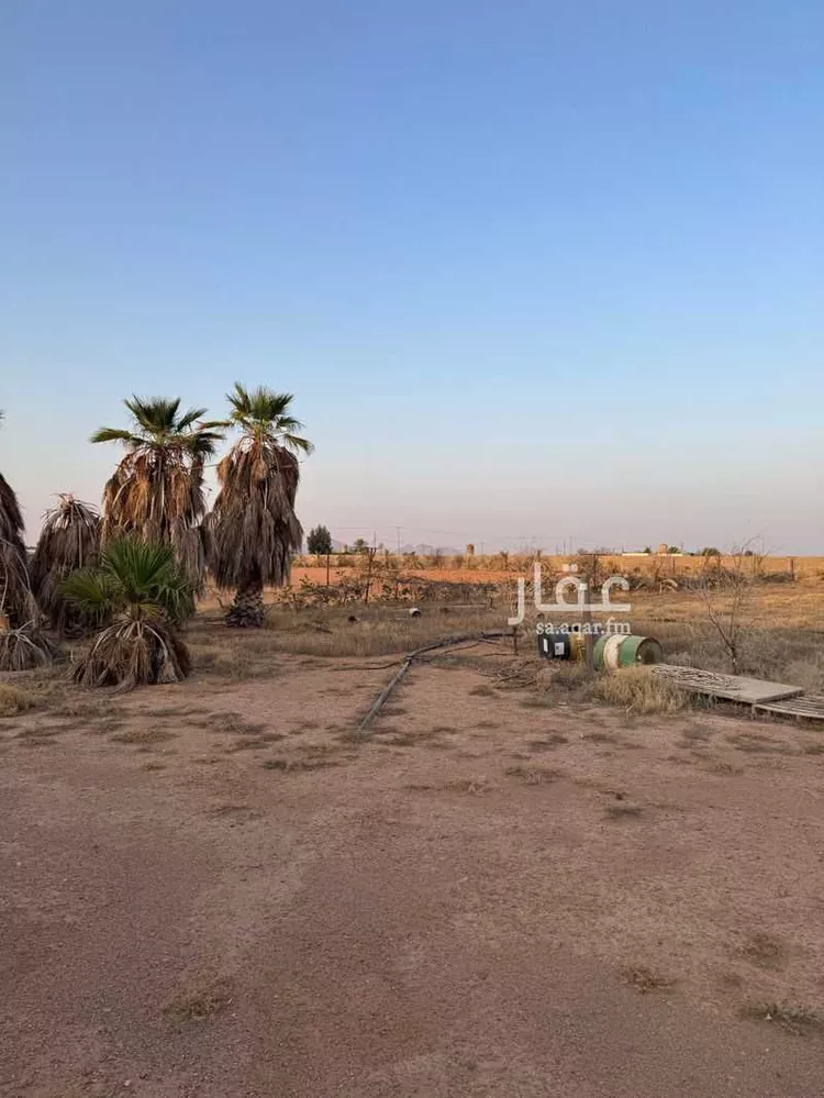 مزرعة للبيع في شارع التربيه 395 ، التربية ، منطقة حائل صورة 2