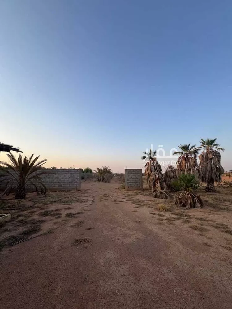 مزرعة للبيع في شارع التربيه 395 ، التربية ، منطقة حائل صورة 3