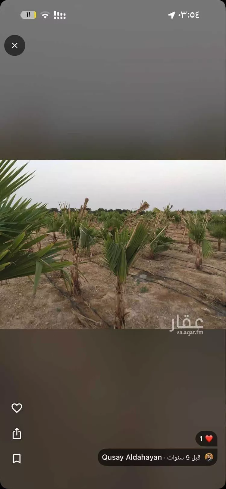 مزرعة للبيع في المملكة العربية السعودية صورة 4