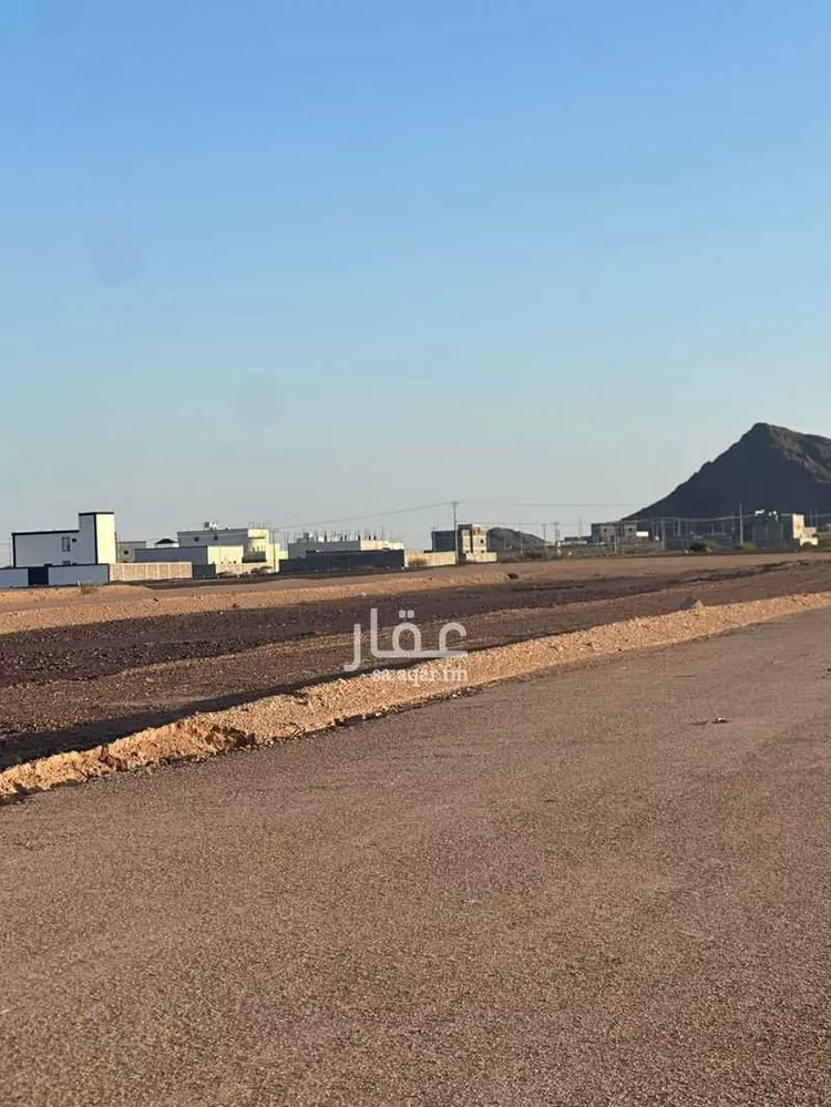 أرض للبيع في شارع الكاتب ابن علام, حي الصويدرة, مدينة المدينة المنورة, منطقة المدينة المنورة صورة 4