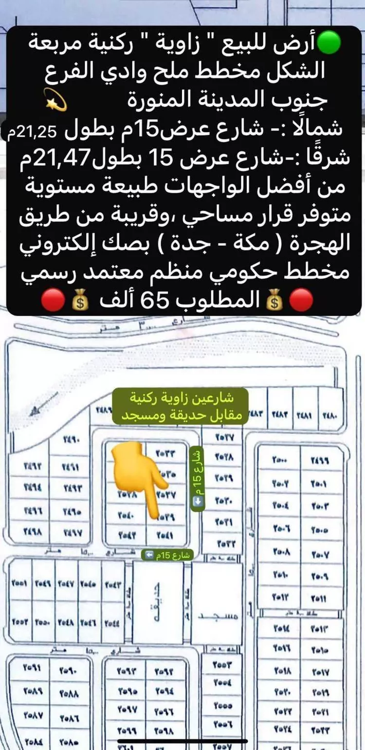 أرض للبيع في حي مخطط وادي  الفرع, مدينة وادي  الفرع, منطقة المدينة المنورة