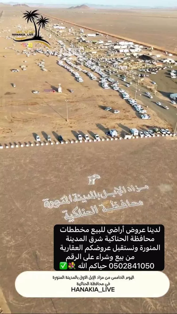 أرض للبيع في شارع بطيحان الغربي 3, حي بطيحان الغربي, مدينة الحناكية, منطقة المدينة المنورة صورة 5