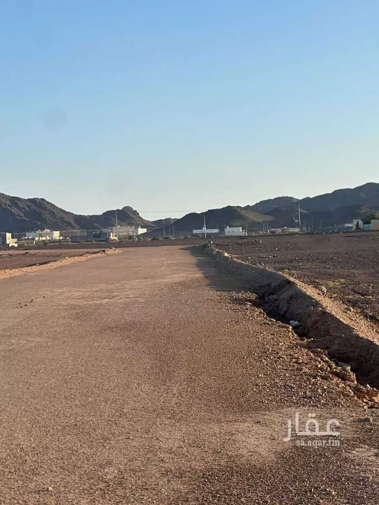 أرض للبيع في شارع الكاتب ابن علام, حي الصويدرة, مدينة المدينة المنورة, منطقة المدينة المنورة صورة 3