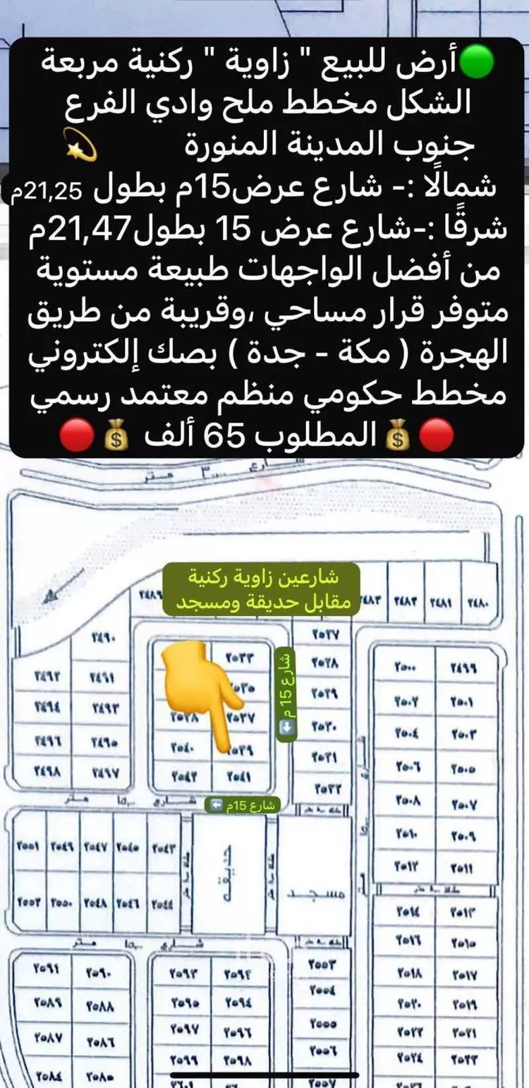 أرض للبيع في حي مخطط وادي  الفرع, مدينة وادي  الفرع, منطقة المدينة المنورة صورة 4