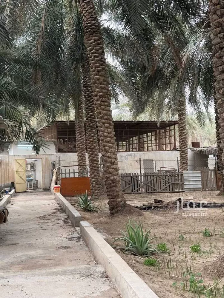 مزرعة للبيع في شارع الشراع الشمالي 27, حي الشراع الشمالي, مدينة الاحساء, المنطقة الشرقية صورة 4