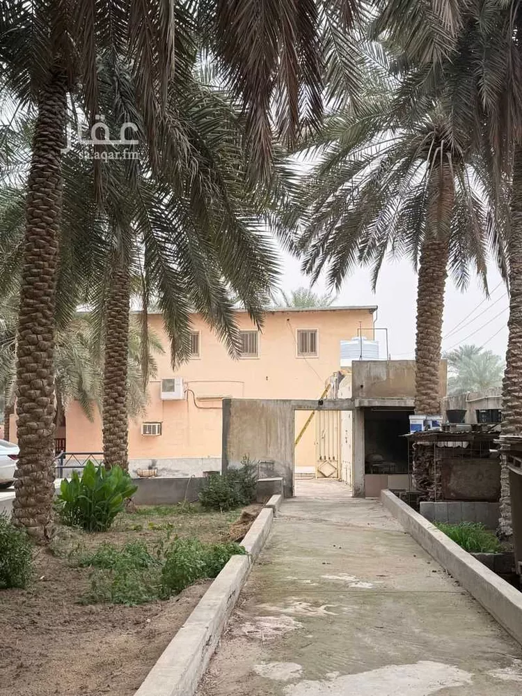 مزرعة للبيع في شارع الشراع الشمالي 27, حي الشراع الشمالي, مدينة الاحساء, المنطقة الشرقية صورة 3