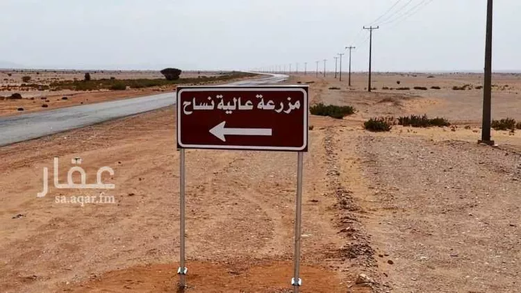 مزرعة للبيع في شارع الصدر , حي هجرة الفريده والعليا, مدينة هجرة الفريده والعليا, منطقة الرياض صورة 2