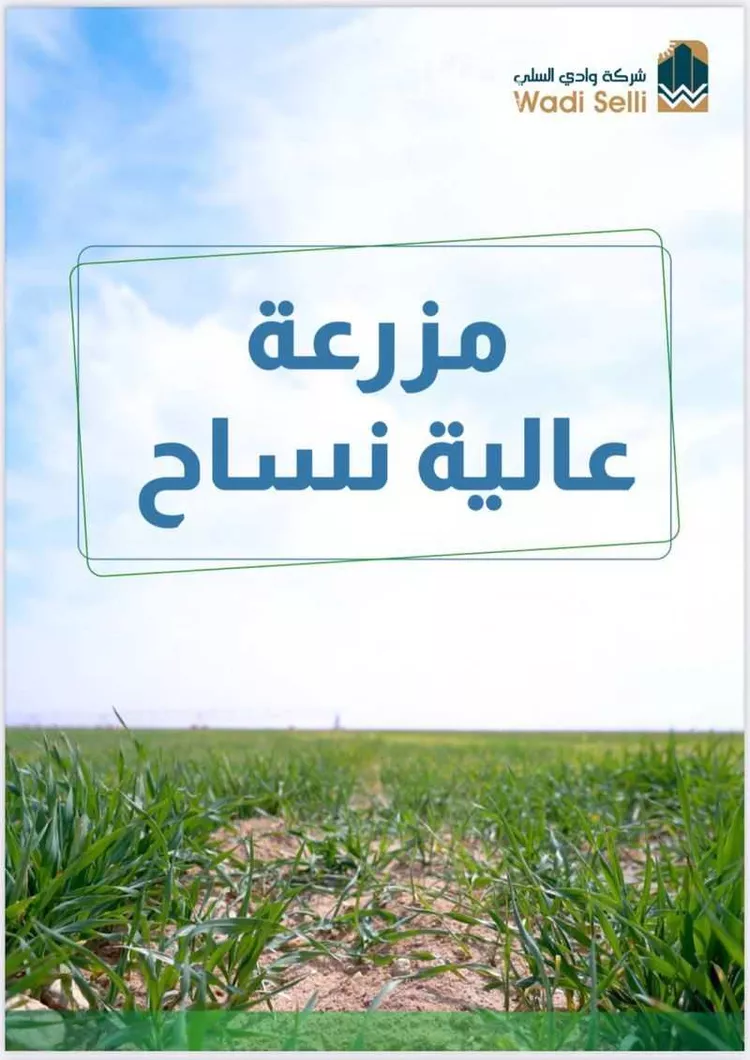 مزرعة للبيع في شارع الصدر , حي هجرة الفريده والعليا, مدينة هجرة الفريده والعليا, منطقة الرياض صورة 3