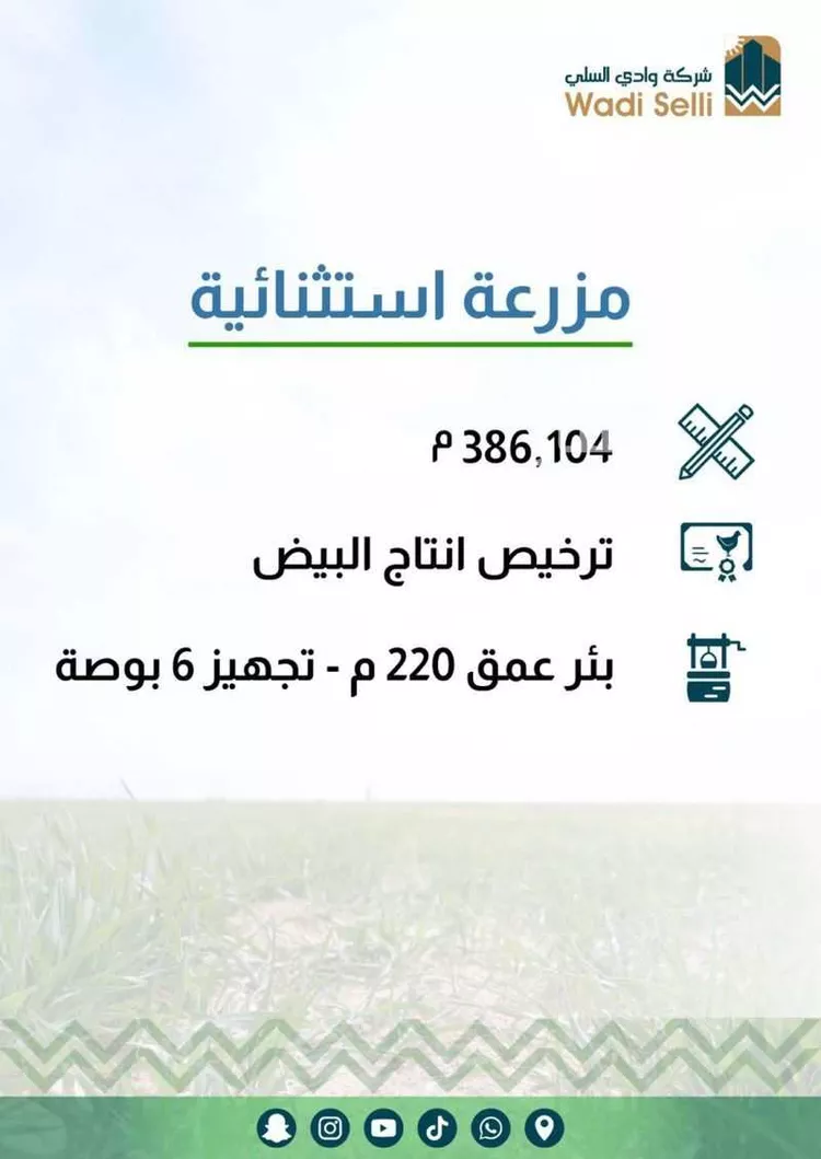 مزرعة للبيع في شارع العقيمي العام, حي مزرعة بن صالح القديمه, مدينة مزرعة بن صالح القديمه, منطقة الرياض صورة 3