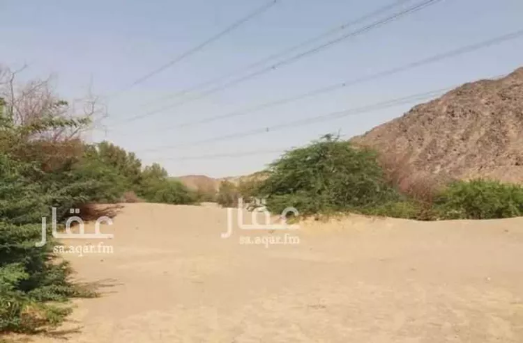 مزرعة للبيع في شارع غير مسمى, مدينة مكة المكرمة, منطقة مكة المكرمة صورة 4