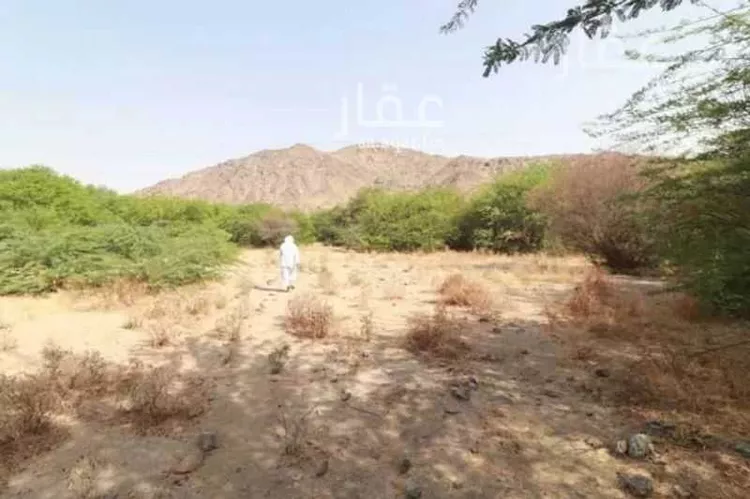 مزرعة للبيع في شارع غير مسمى, مدينة مكة المكرمة, منطقة مكة المكرمة 6
