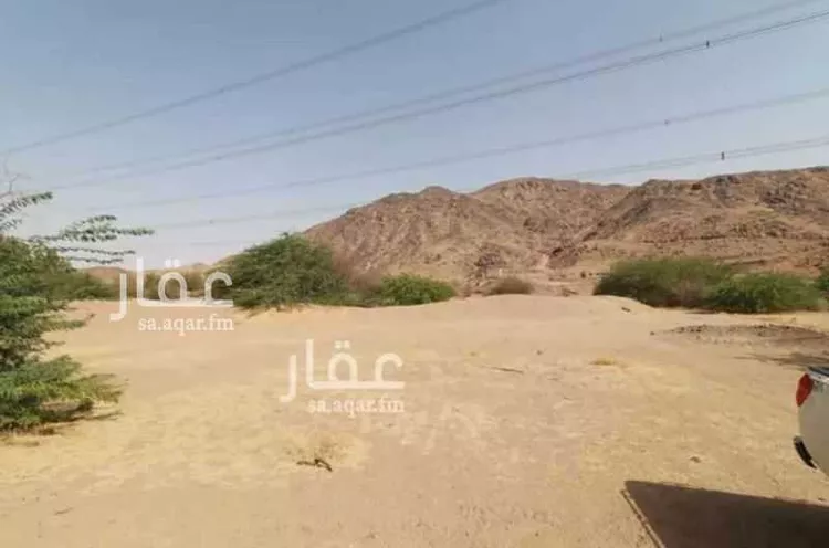 مزرعة للبيع في شارع غير مسمى, مدينة مكة المكرمة, منطقة مكة المكرمة 9