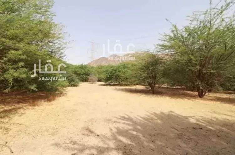 مزرعة للبيع في شارع غير مسمى, مدينة مكة المكرمة, منطقة مكة المكرمة 16