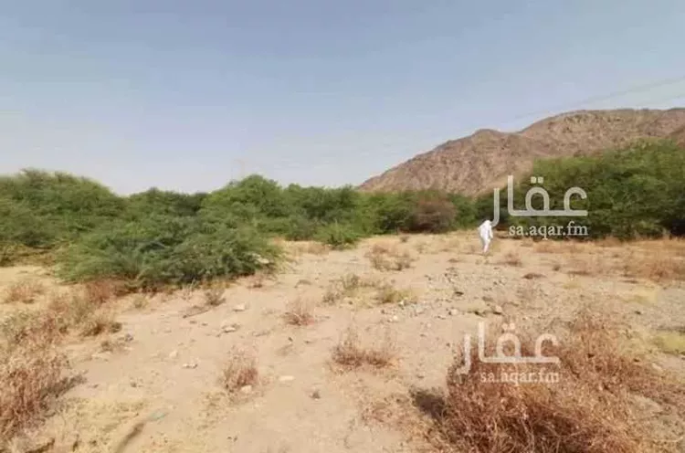مزرعة للبيع في شارع غير مسمى, مدينة مكة المكرمة, منطقة مكة المكرمة 8