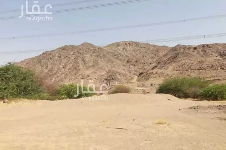 مزرعة للبيع في شارع غير مسمى, مدينة مكة المكرمة, منطقة مكة المكرمة 15