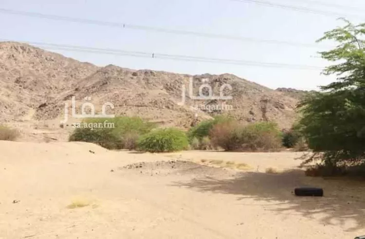 مزرعة للبيع في شارع غير مسمى, مدينة مكة المكرمة, منطقة مكة المكرمة 7