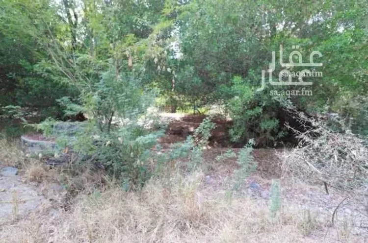 مزرعة للبيع في شارع غير مسمى, مدينة مكة المكرمة, منطقة مكة المكرمة 11