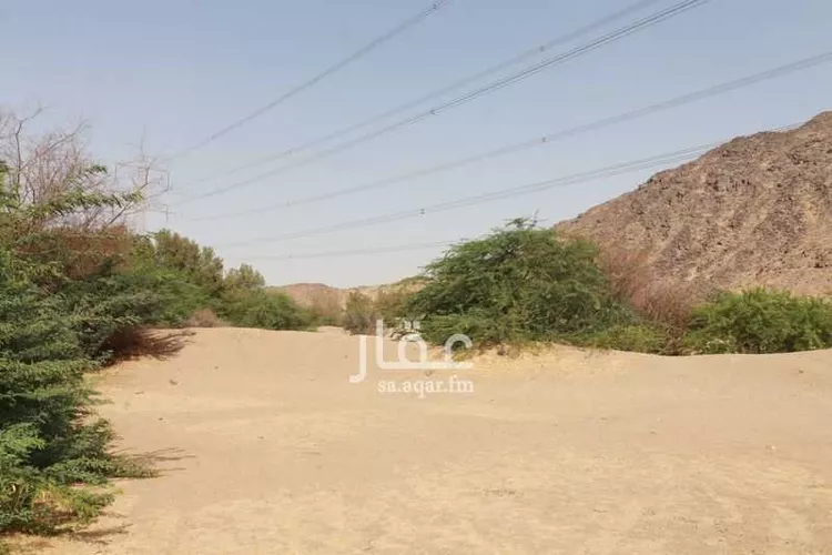 مزرعة للبيع في مدينة مكه المكرمه, منطقة مكة المكرمة صورة 3