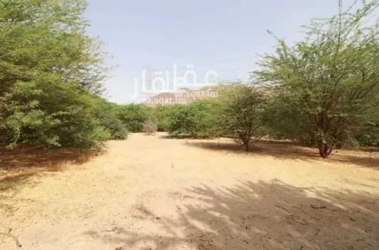 مزرعة للبيع في شارع غير مسمى, مدينة مكة المكرمة, منطقة مكة المكرمة 17