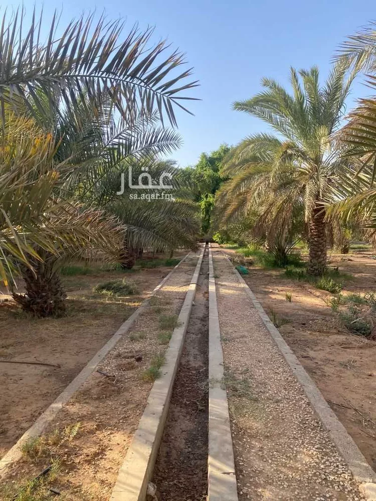مزرعة للبيع في حي مزارع الشعب, مدينة مزارع الشعب, منطقة الرياض صورة 3