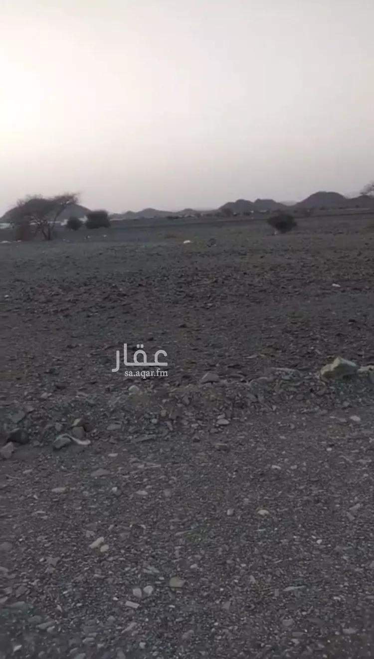 أرض للبيع في شارع هبه الله السامري, حي ابيار الماشي, مدينة المدينه المنوره, منطقة المدينة المنورة صورة 4