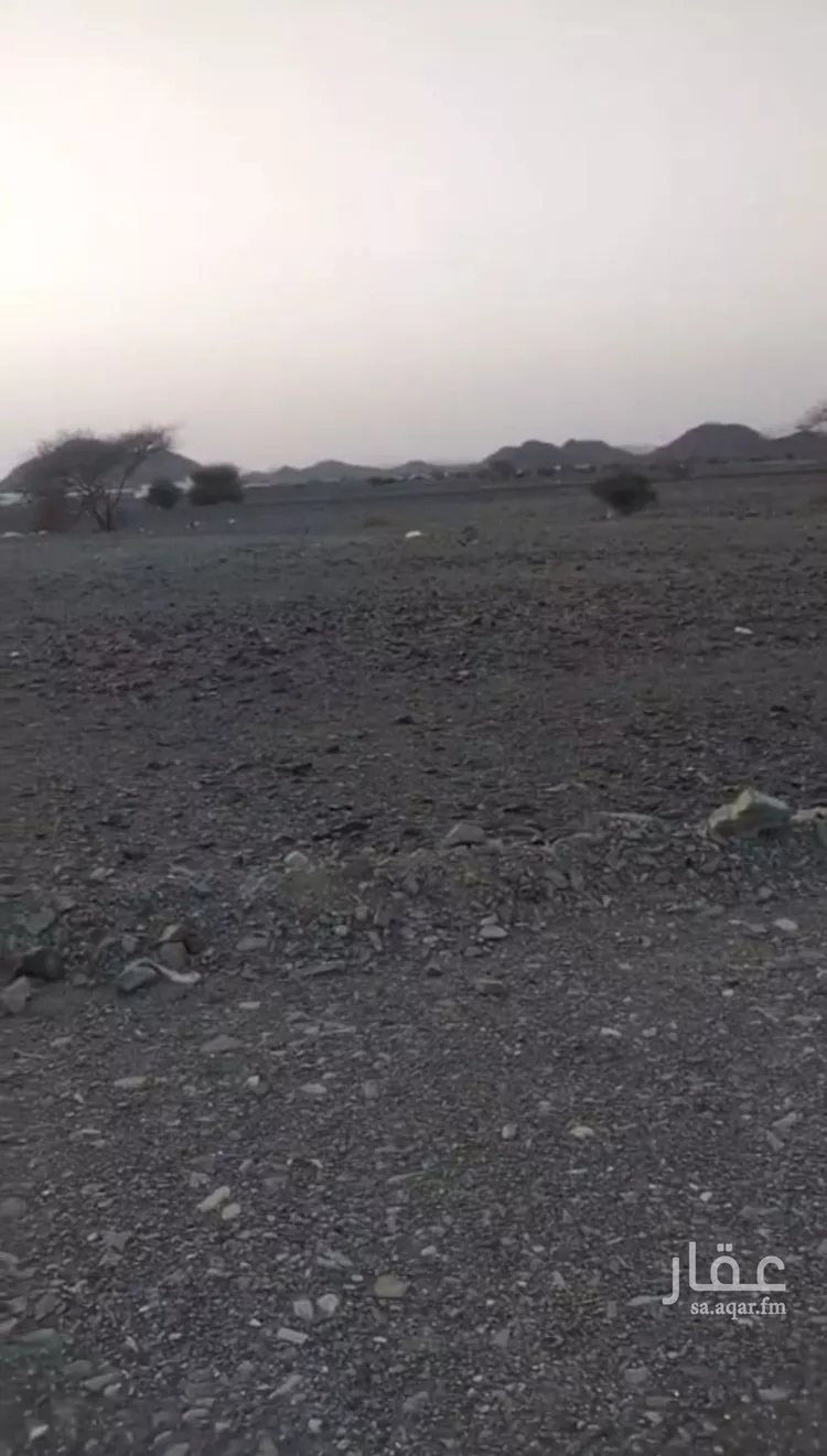 أرض للبيع في شارع هبه الله السامري, حي ابيار الماشي, مدينة المدينة المنورة, منطقة المدينة المنورة صورة 3