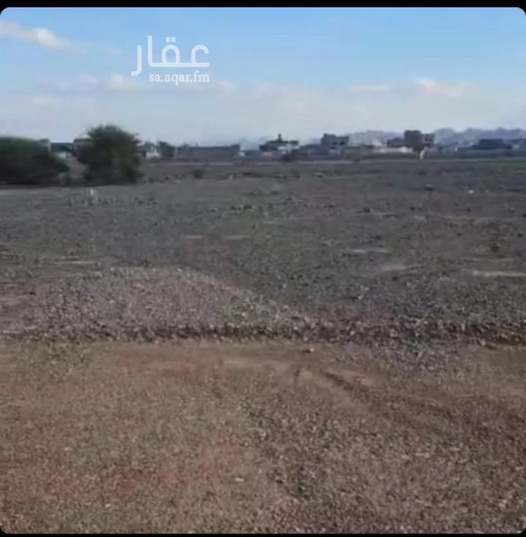 أرض للبيع في شارع ابي الفوارس, حي ابيار الماشي, مدينة المدينة المنورة, منطقة المدينة المنورة صورة 2