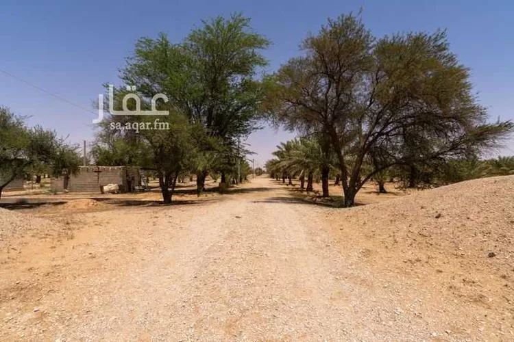 Farm for Sale in Thadiq Ad Deerah Al Kadimah صورة 5